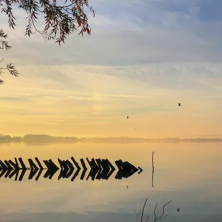 Casa vacanze Gorgeous In Lembruchduemmer With Sauna *